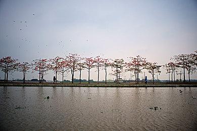 前《星际公民》开发者炮轰单人战役：巨资浪费在垃圾上